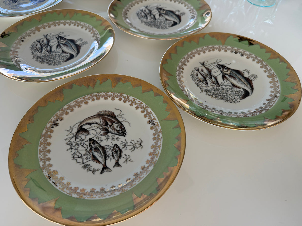 Set 6 piatti vintage Richard Ginori D8 anni ’60 – decoro pesci