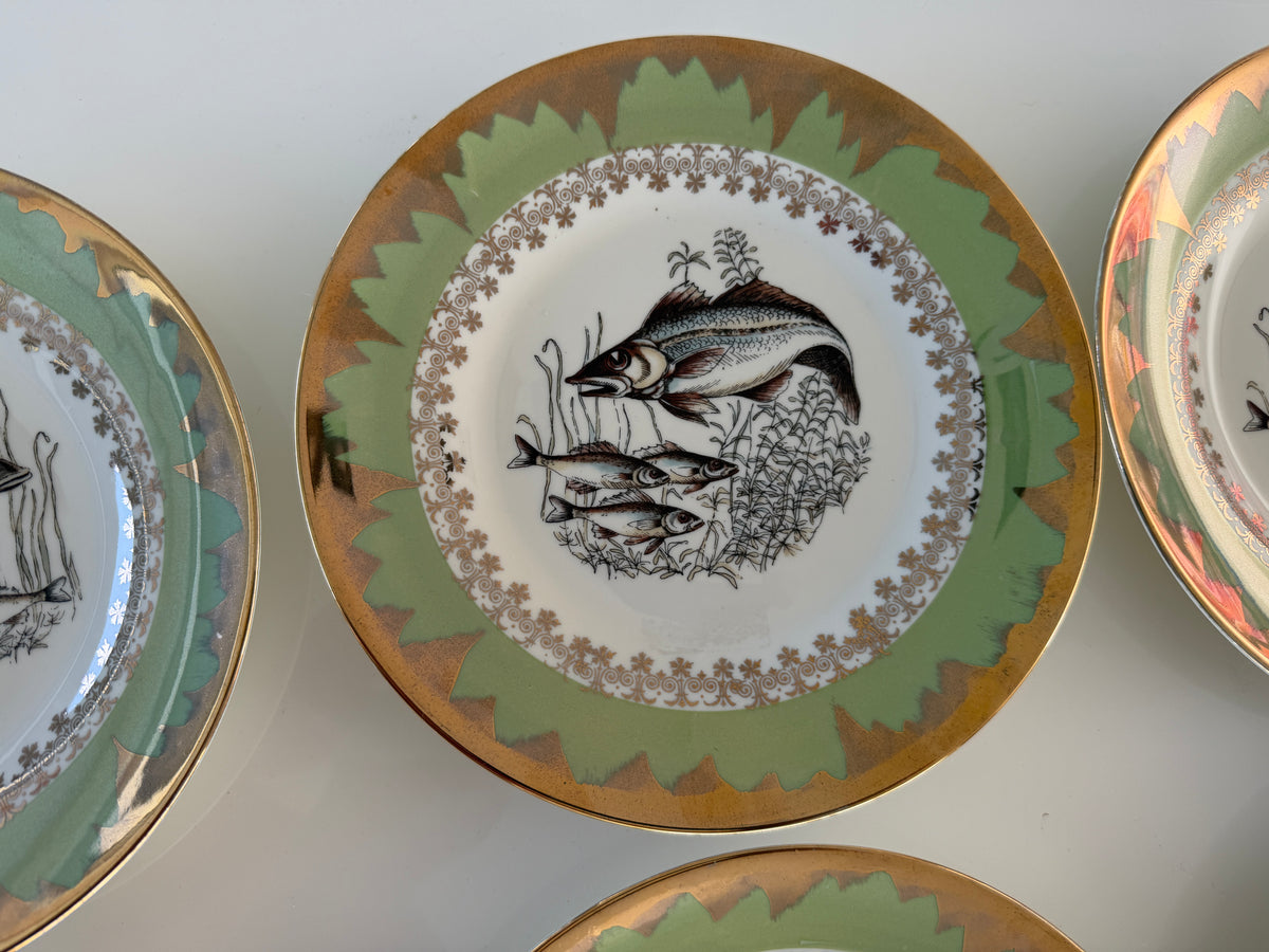 Set 6 piatti vintage Richard Ginori D8 anni ’60 – decoro pesci