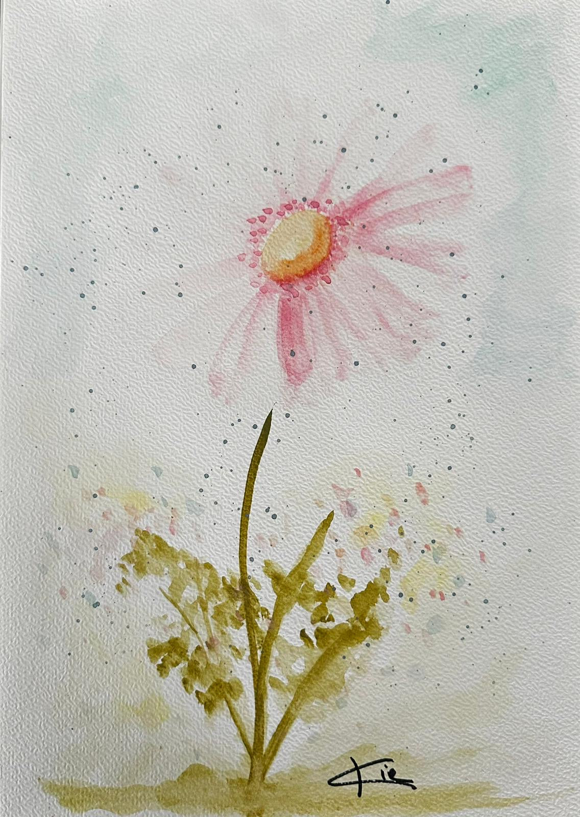 Disegno Acquarello